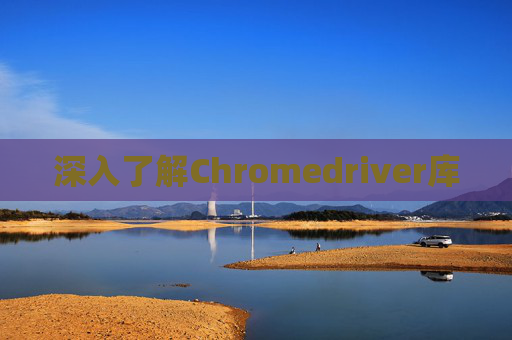 深入了解Chromedriver库